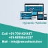 Dynamic Website Designing Package